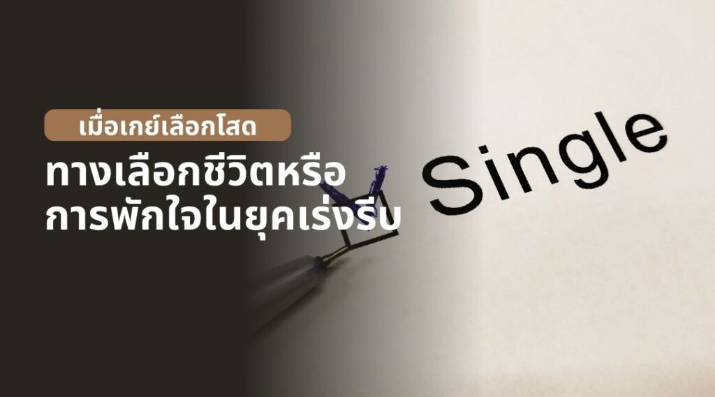 เมื่อเกย์เลือกโสด ทางเลือกชีวิตหรือการพักใจในยุคเร่งรีบ